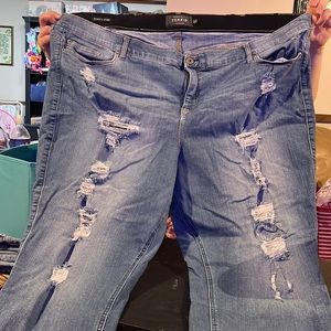 Torrid Jeans